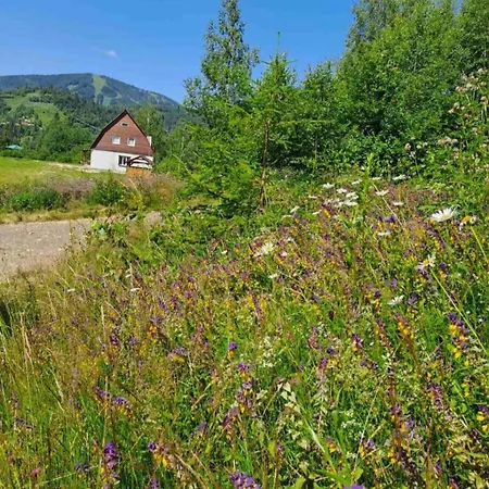 армаден Slavske