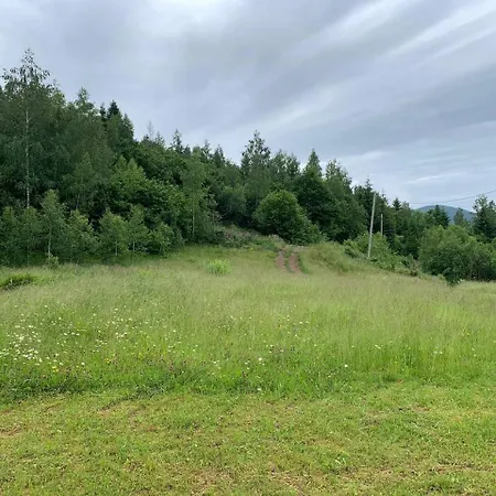 армаден Slavske